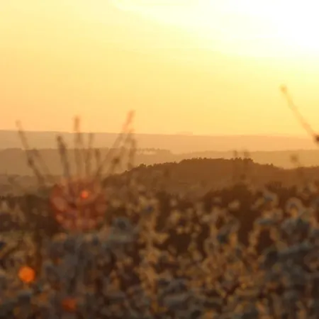 호텔 Agnesen-hof 바르웨일러